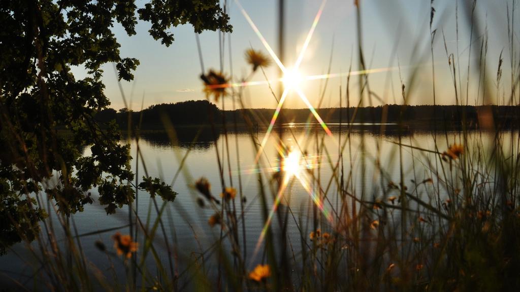 Penzion A Wellness U Trebonske Madony Eksteriør bilde